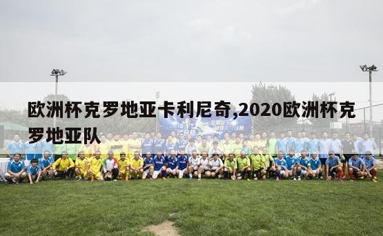 欧洲杯克罗地亚卡利尼奇,2020欧洲杯克罗地亚队