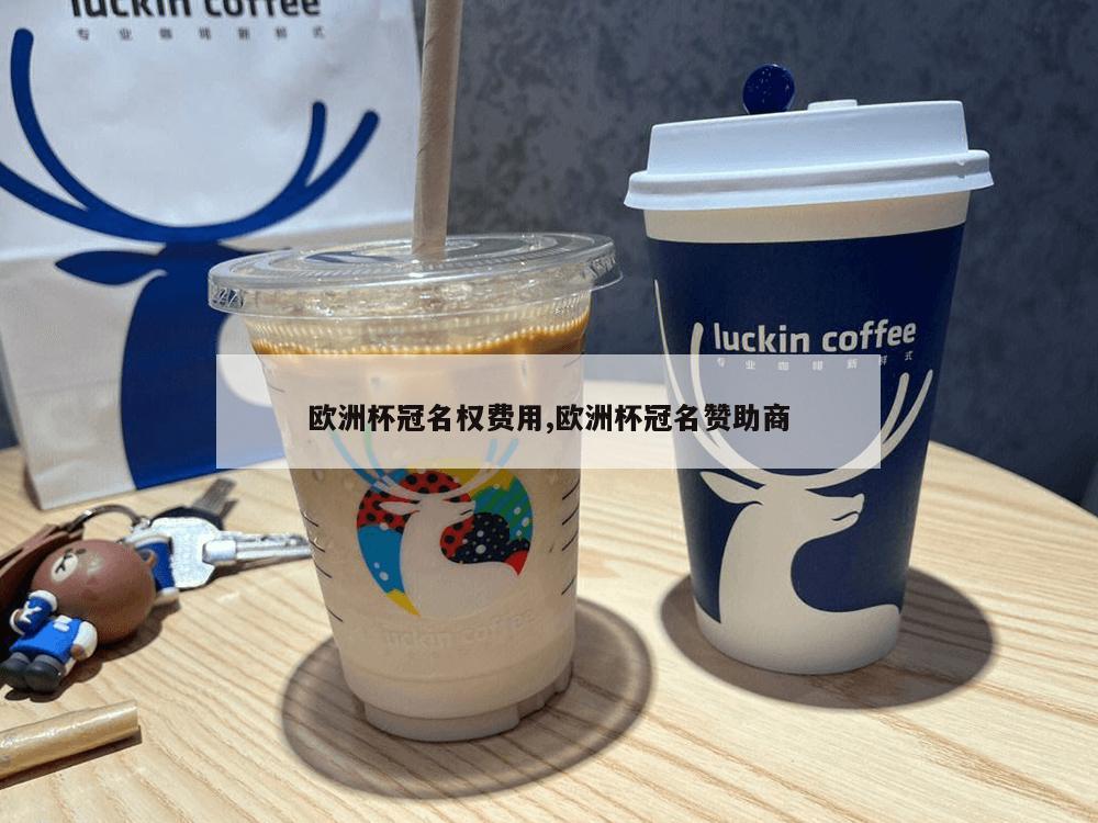 欧洲杯冠名权费用,欧洲杯冠名赞助商