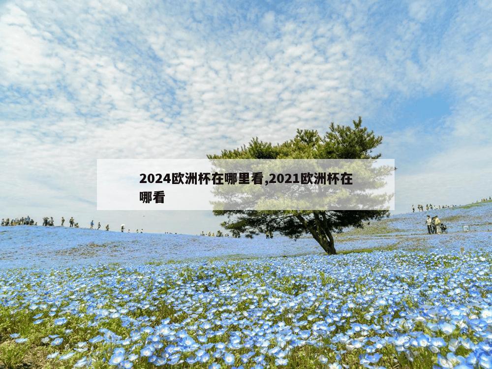 2024欧洲杯在哪里看,2021欧洲杯在哪看