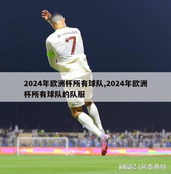 2024年欧洲杯所有球队,2024年欧洲杯所有球队的队服