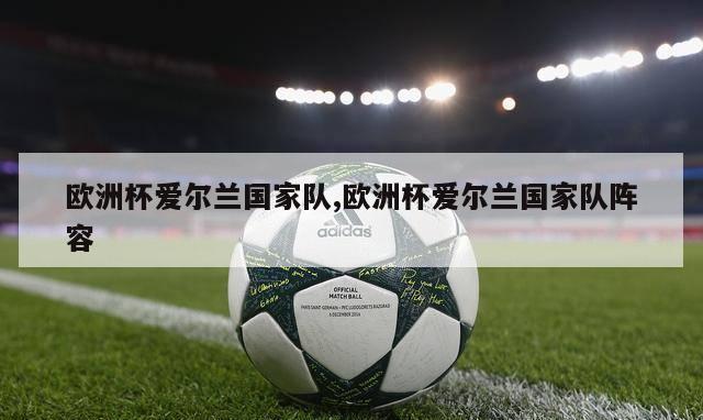 欧洲杯爱尔兰国家队,欧洲杯爱尔兰国家队阵容